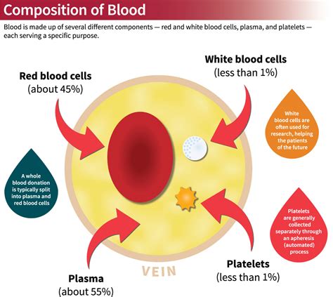 “Blood made White”: The relationship between blood and 